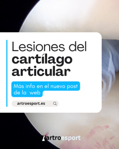 Lesiones del cartílago articular